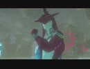 【実況プレイ】１００年寝坊しました Part14【ゼルダの伝説】