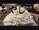 【大食い】もやし3kg食えるかな？