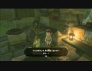 【ニコ生アーカイブ】ゼルダの伝説ブレスオブザワイルド　part14