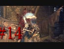 【初見実況】地底人に憧れてBloodborneを実況プレイ＃14