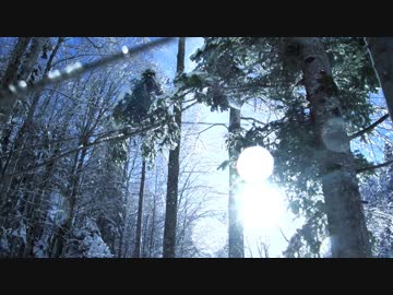 【初音ミク】ドリームレス ドリームス BIGHEAD REMIX 【REMIX】