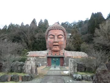 ハニベサンドーラ