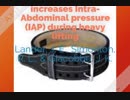 What does a weightlifting belt do?