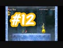 【２人実況】残念な２人が行く【NewスーパーマリオブラザーズWii】part１２