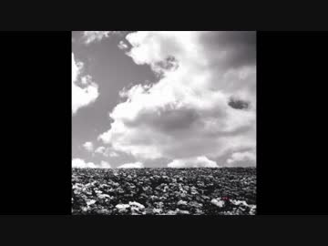 【BUMP OF CHICKEN】花の名をアコギで再び【弾いてみた】