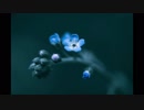 【男声合唱】小さな花【全部俺で歌ってみた】