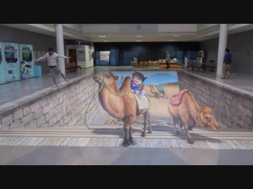 じっくり山陰を発掘する旅行その終わり【鳥取砂丘よ今夜もありがとう】