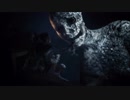 ニコニコの最高画質に挑むHellblade: Senua's Sacrifice（１０８０ｐ、60fps）、11