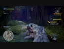 モンスターハンター：ワールド_裸でトビカガチを倒してみた