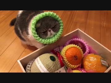 果物といえばコレ。