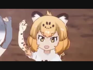 われわれは フクロウコンビ 詰め合わせ 賢いので ニコニコ動画