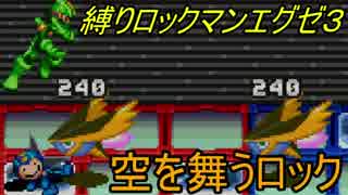 [華のある縛り実況]ロックマンエグゼ３：Part33