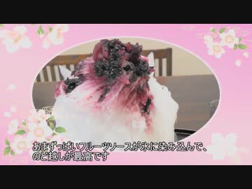 【三十路女の埼玉ひとり旅・小鹿野編】毘沙門氷とRTAおさんぽ旅