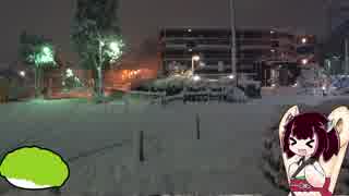 【夜歩き】1月22日　都内の雪景色【特別編】