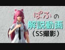 PSO2　SS撮影　解説動画