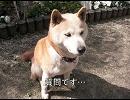 音楽データが入らない