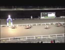 2018年1月28日高知競馬7R 厳冬特別(C2-1組) ランフォージン
