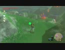 自由なリンクの寄り道【プレイ動画その４０】