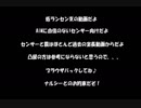 低ランセン支による低ランセン支の為の動画～キニシュ～
