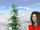 はじめての 3DCG