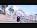 【広島踊り手企画】Calc. 踊ってみた【えりんぎ】