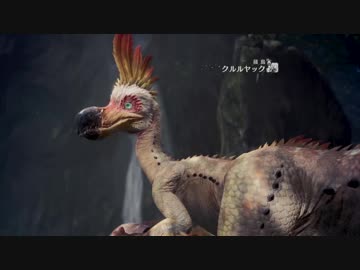 #4【MH:W】はじめてのたんさく【実況】