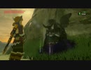 にわかどもの詩【ゼルダの伝説ブレスオブ ザ ワイルド】【DLC】【実況】16