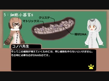 【けものフレンズ】ジャパリ講座　第二回～細胞は何者なんだ！？～