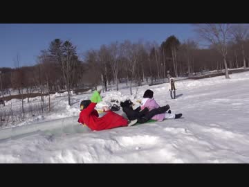 【芋ファミリー】Tell Your World　踊ってみた【冬】