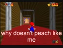 [スーパーマリオ64]チャーミングピーチ