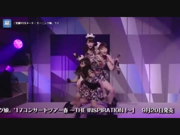 五人組くんと十三人組さん【私の】ひたすら好きならいぶまとめ⑤