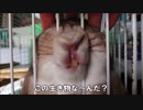 【つゆさん】この生き物な～んだ？