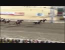 2018年1月30日川崎競馬9R 第16回マイスターチャレンジ(C2) マイネルアクスト