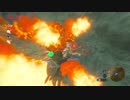 自由なリンクの寄り道【プレイ動画その４３】