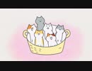 まめねこ　第1さやめ～第4さやめ　あずきとだいず／肌色ともじゃ／メガネと座敷おやじ／ニワ子とはと夫婦
