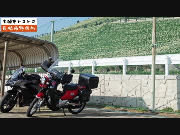 【Ninja1000】水仙を見に行ってきた【クロスカブ】