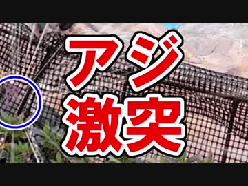 パーク・オブ・ザ・トウブ　王の施し(東武動物公園)