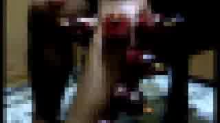 知られざる 検索してはいけない言葉 実況 Part ニコニコ動画