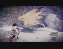モンスターハンターワールド！防具はメガネだけ！上位レイギエナ！捕獲