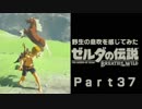 野生の息吹を感じてみたゼルダの伝説ブレスオブザワイルド　 part37