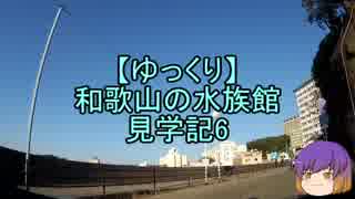 【ゆっくり】和歌山の水族館見学記6