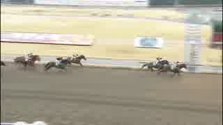 2018年2月1日川崎競馬10R アメジストスター賞 ラニカイシチー