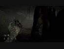 「DBD」全キラーで4吊りを目指すっ！「コスプレ女＃01」