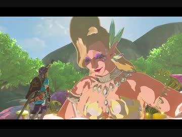 （２７）はじめてのゼルダの伝説ブレスオブザワイルド