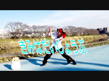 【みとん】きみはだいじょうぶ　踊ってみた　【誕生日】