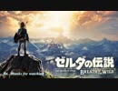 ゼルダ歴ゼロ年による生活記録 part final 後