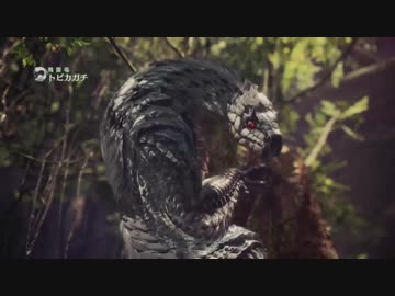 #8【MH:W】トビカガチ強くね？【実況】