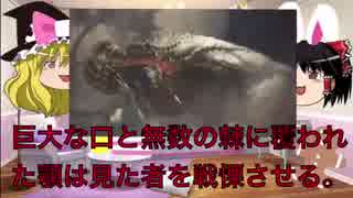 【ゆっくりMHW解説】『イビルジョー』モンスターハンターワールド