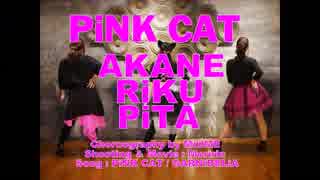 【紅音・RIKU・ぴた】PiNK CAT　踊ってみた