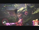 【MH:W】命燃やして狩りせよウサミン　その３